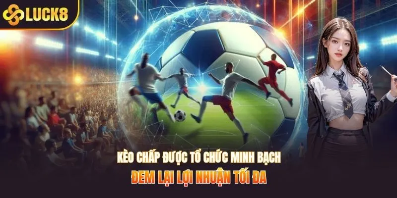 Kèo chấp được tổ chức minh bạch, đem lại lợi nhuận tối đa
